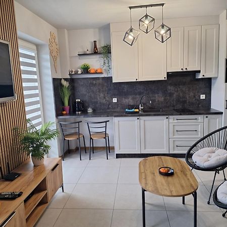 Apartament Gorska Szarotka ノヴィ・タルク エクステリア 写真