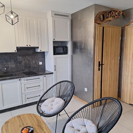 Apartament Gorska Szarotka ノヴィ・タルク エクステリア 写真