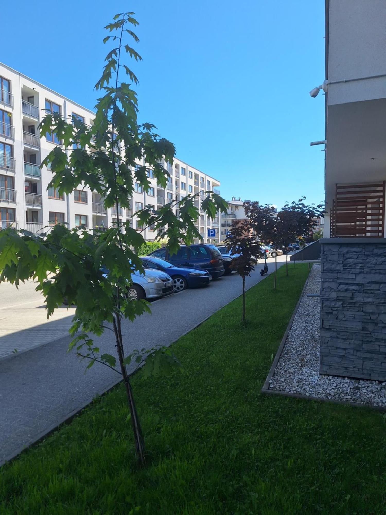 Apartament Gorska Szarotka ノヴィ・タルク エクステリア 写真